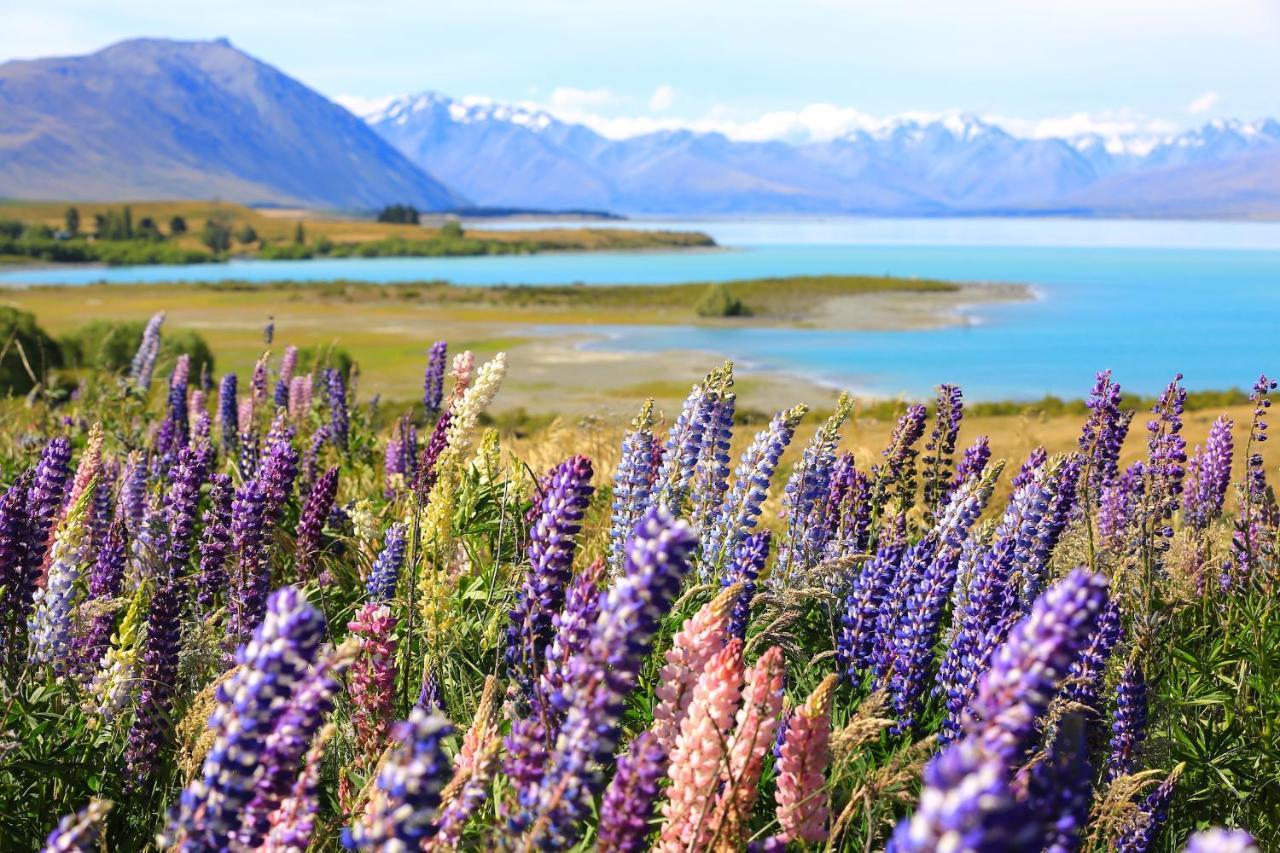 Galaxy Boutique Hotel Lake Tekapo Buitenkant foto